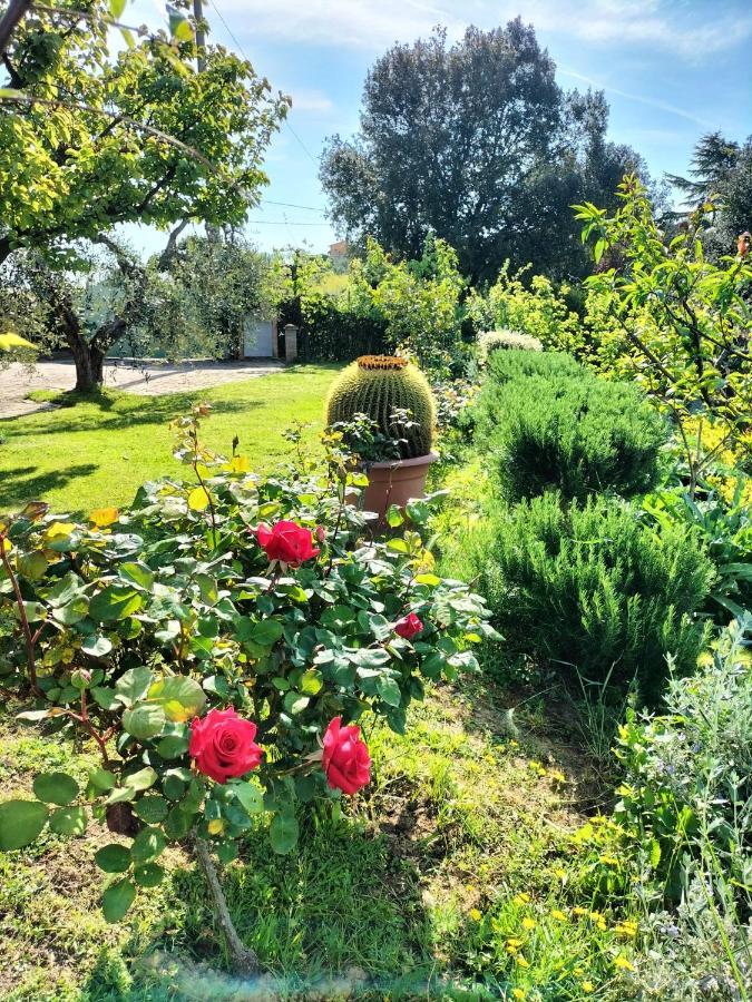 Gervasella Villa Pontedera Ngoại thất bức ảnh